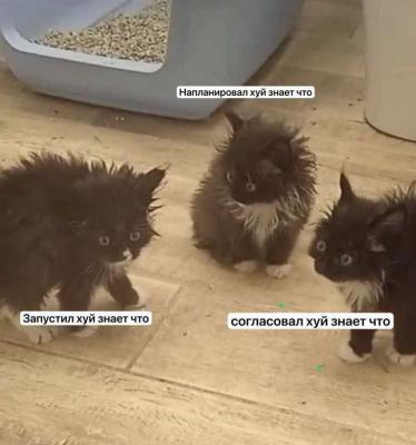 Прикрепленное изображение: photo_2024-01-30_16-05-53.jpg